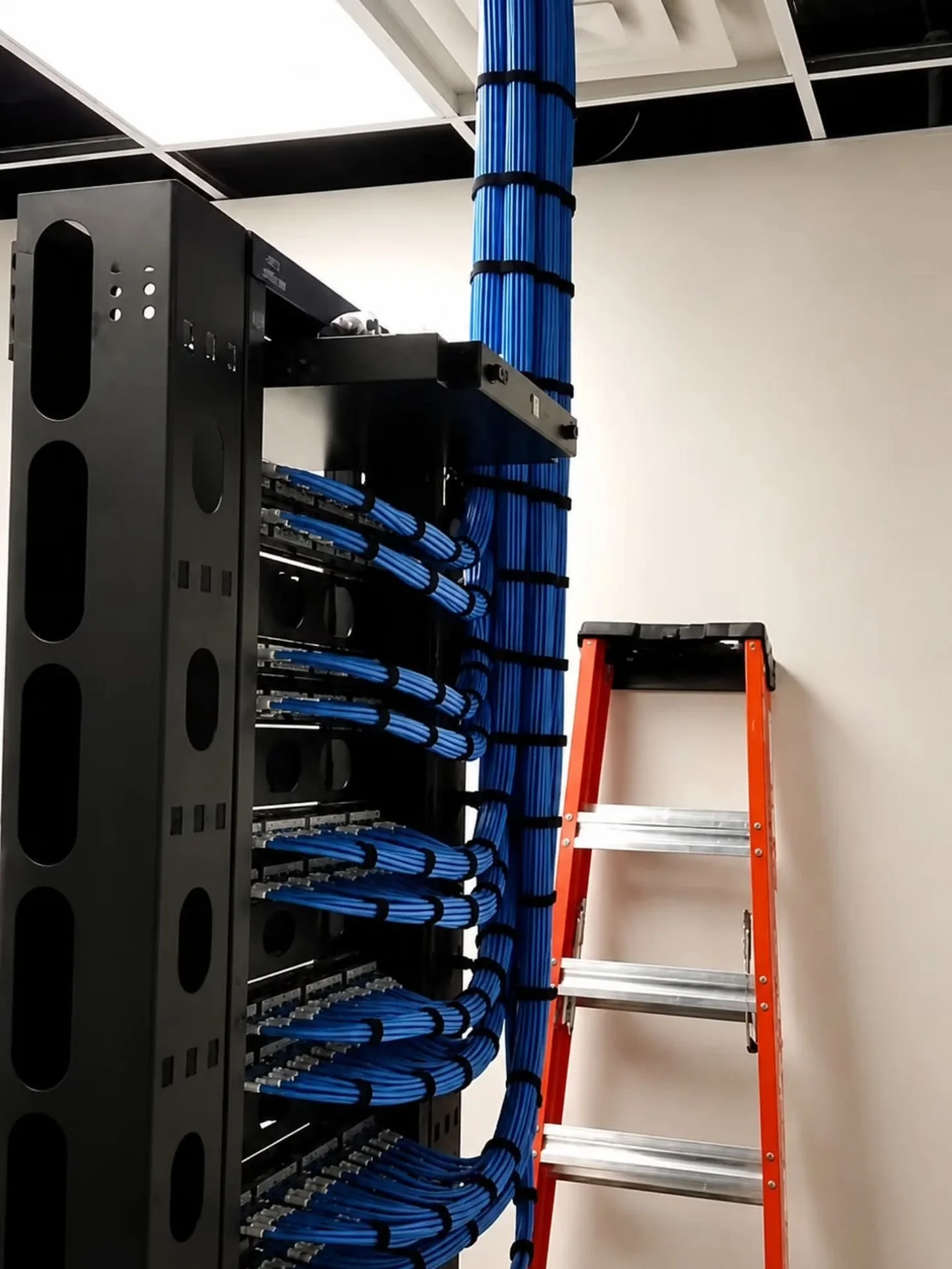 Organización de cableado estructurado en rack